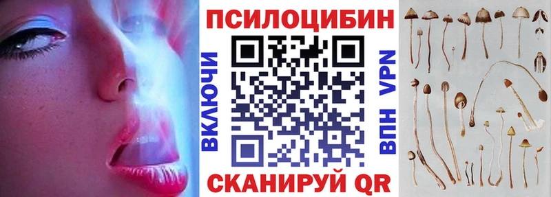 Псилоцибиновые грибы мицелий  МЕГА tor  Мосальск 